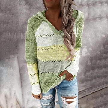 Hollow Out Knitted Hooded Sweater