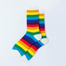 Rainbow Thigh Socks