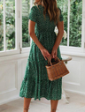 Roslady Dot Printed Midi A Line Dress