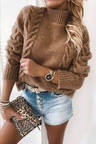 Pure Color Turtleneck Knitted Casual Sweater