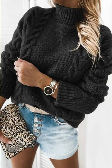 Pure Color Turtleneck Knitted Casual Sweater