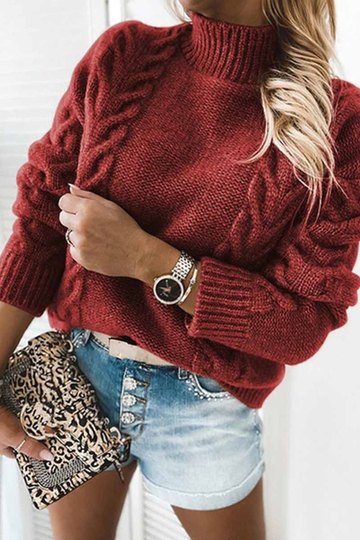 Pure Color Turtleneck Knitted Casual Sweater