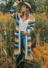 Dawn Chevron Stripe Cardigan